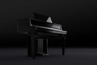 Kawai e-piano NV 10