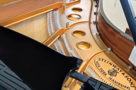 Steinway&Sons Flügel gebraucht Modell O 180 Diskant Innenansicht