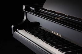 Kawai Flügel Serie GX5 - Detailansicht front