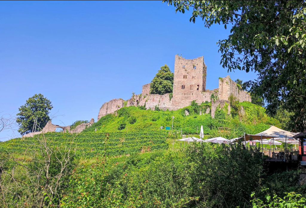 Schauenburg von Oberkirch in Baden (Land)